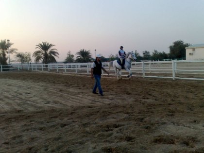 photo par ahmed1