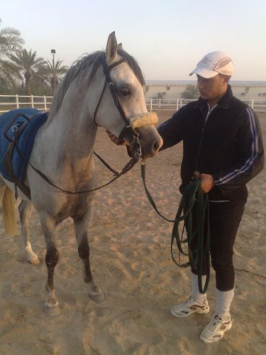 photo par ahmed1