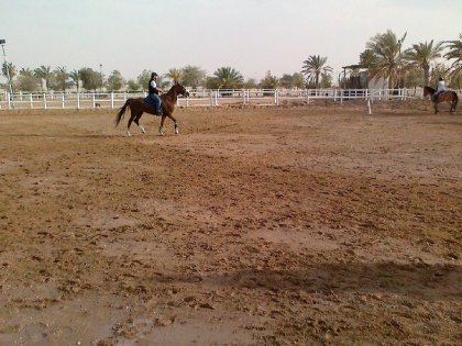 photo par ahmed1