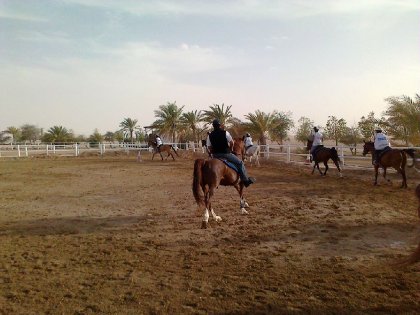 photo par ahmed1