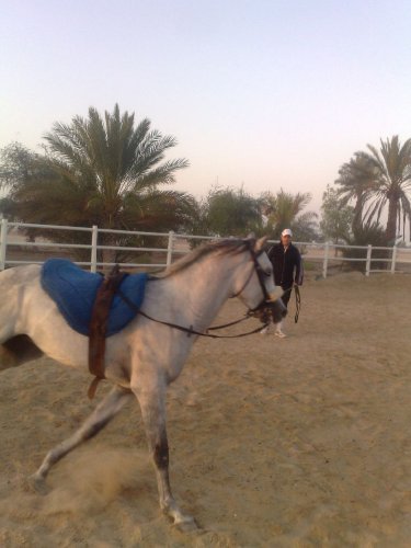 photo par ahmed1