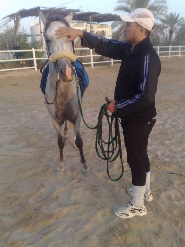 photo par ahmed1