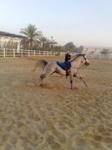 photo par ahmed1