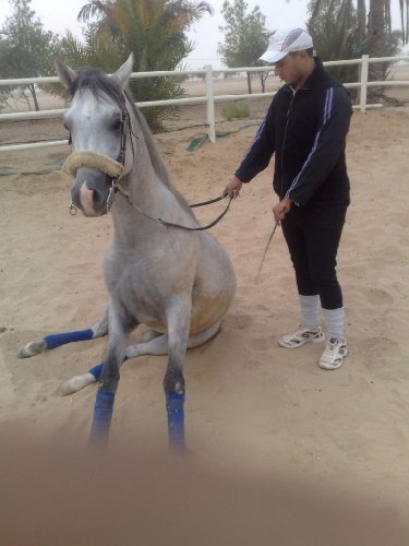 photo par ahmed1