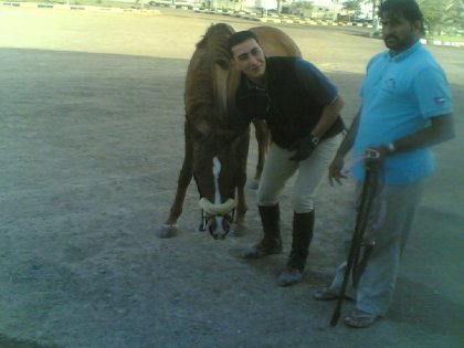 photo par ahmed1