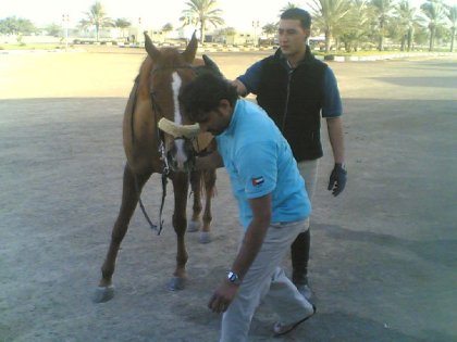 photo par ahmed1