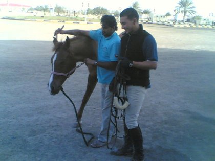 photo par ahmed1