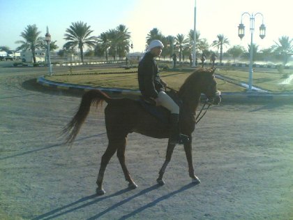 photo par ahmed1
