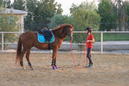 mon cheval a abu dhabi Sharaki 