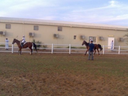 photo par ahmed1