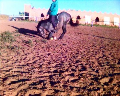 photo par ahmed1