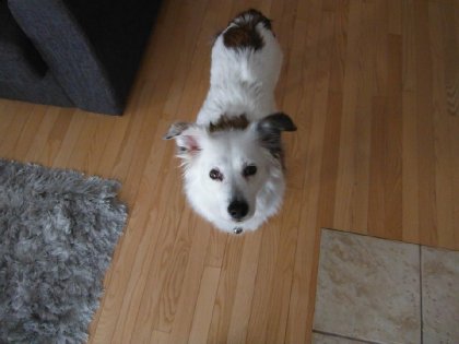 Belle Dixie <3