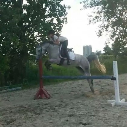 Scéance de saut avec mon poney<3 La barre est à 2pied9, soyez...