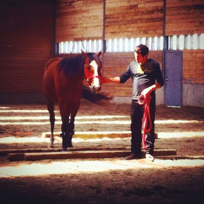 Mon chum et son poulain