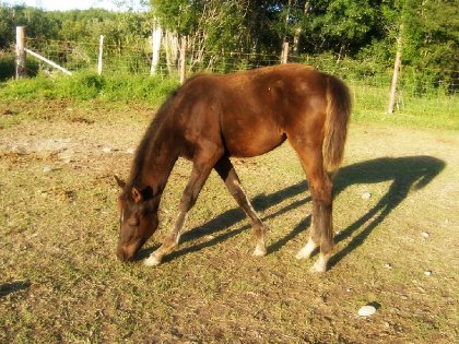 ma petite sky qui grandit trop vite <3 déjà 4 mois ma petite...