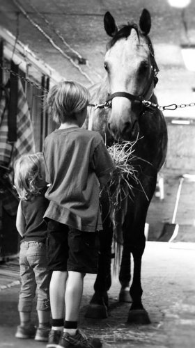 Quel beau plaisir de partager ma passion avec mes enfants !