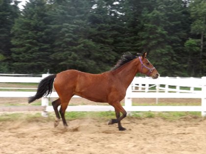 photo par Carlie
