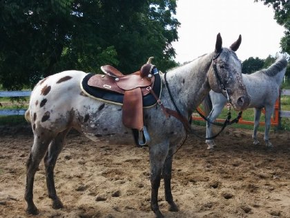 photo par vdupuis