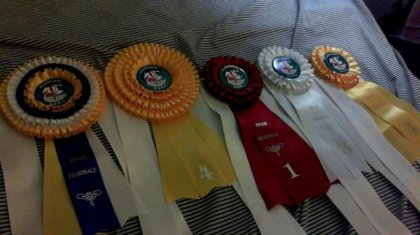Résultat de la Finaly Régionale de L'AERL :) Champion Réserve et...
