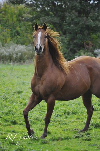 Le beau whizy :) RT photos