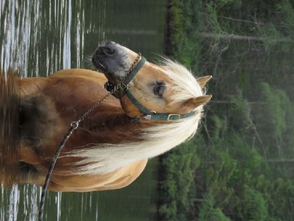 une baignade après un trail ça fais toujours du bien!
