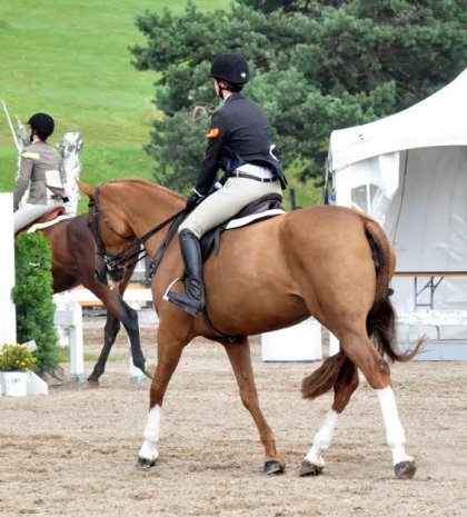 Jeux Équestres du Québec 2014
