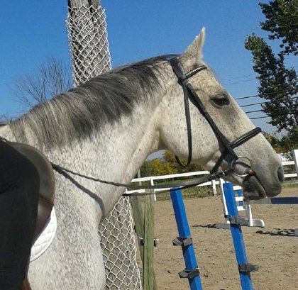 photo par grisou1