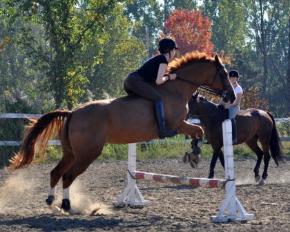 photo par Poloniche