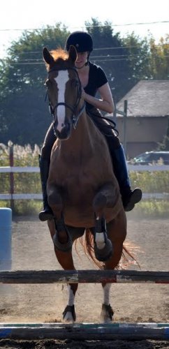 photo par Poloniche