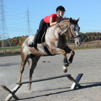 Petit saut mais gros overjump!:D Jadore comment il saute! Les...