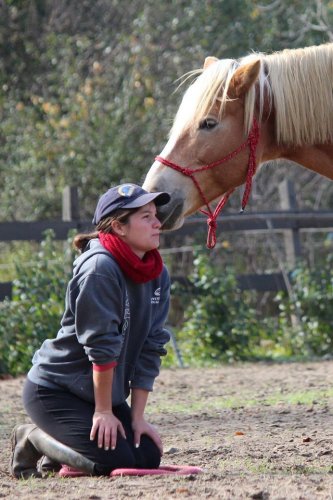 Poney de mon coeur <3<3