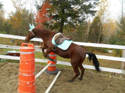 Ma princesse <3 et son jolie coup de saut :D Vive les...