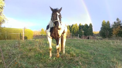 Qui a dit un ARC-EN-CIEL !? Où ça !? Heuuin ?