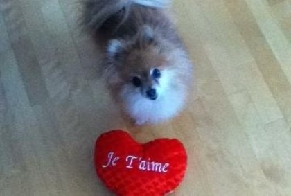 Ma Titi qui donne de l'amour! :)