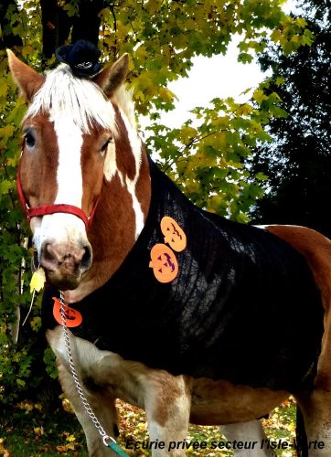 Pablo a l'halloween ! :)