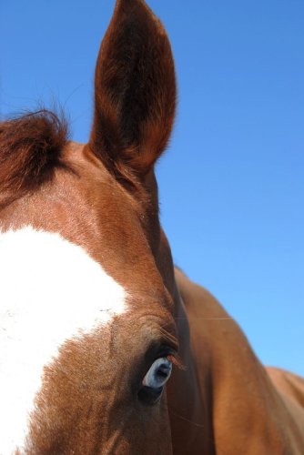 photo par jade&blue
