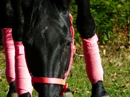 Elle est si jolie avec le rose! :) 