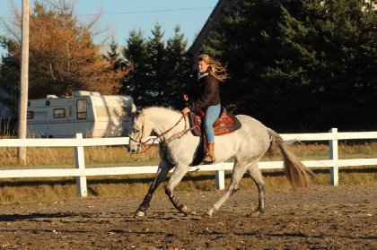 Ma jument Candy, 16.2 mains, elle commence a bien travailler ! <3