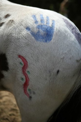 Ah! Les plaisirs de la peinture sur poney! :)