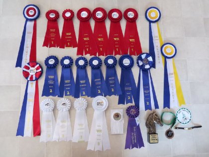 Récolte 2014 avec ma jument Brazile! En dressage régionale, TREC...