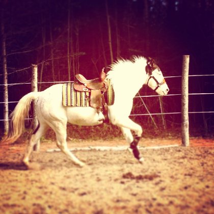 Au galop :)