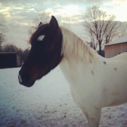 Ma ponette de 7 ans