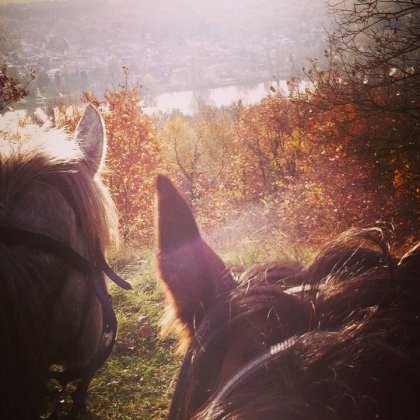 Magnifique paysage après un grand galop petite pause devant...