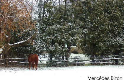 Une journée dans la neige