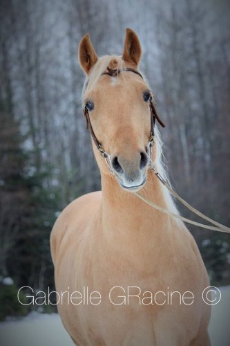 le beau Bonenza! 