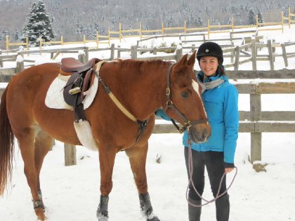 Un an déjà avec Winston ma demi-pension! Un si bon cheval :)!