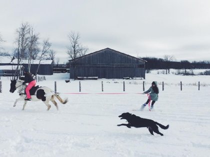 Les joies de l'hiver :D 