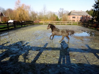 photo par Myhorsez