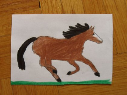 un cheval au galop