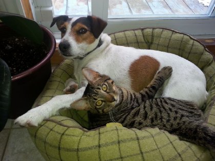 Diego et Bruno